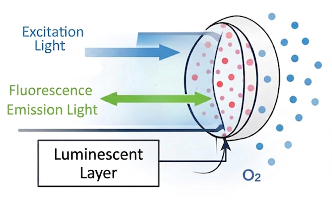 Fluorescence quenching principle
